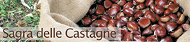 Sagra delle castagne a Marradi