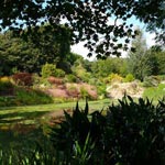 Bonython Estate Garden - Lake Sue